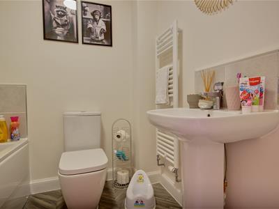 Picture 11